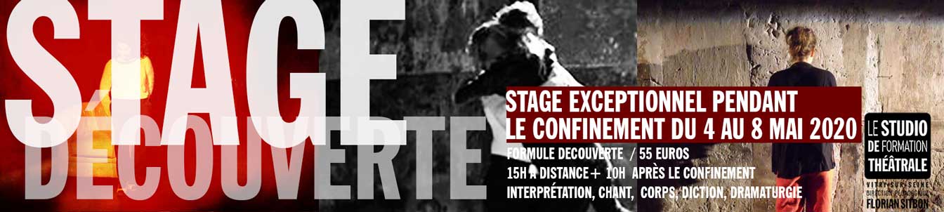 Stage Découverte exceptionnel à distance/DU 4 AU 8 MAI 2020 / 15H de cours à distance et la rencontre de 5 professeurs en 5 Jours, + 10H de cours en situation réelle dès la fin du confinement/ 55 EUROS