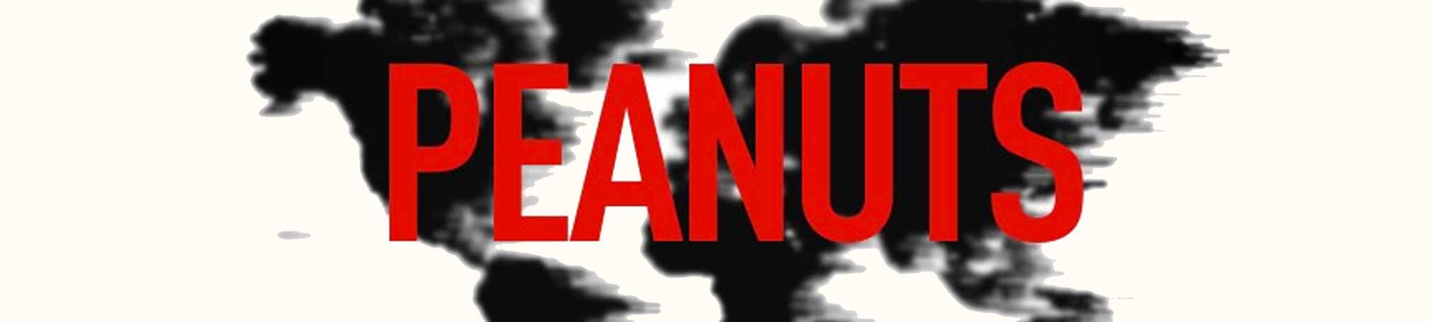 Peanuts